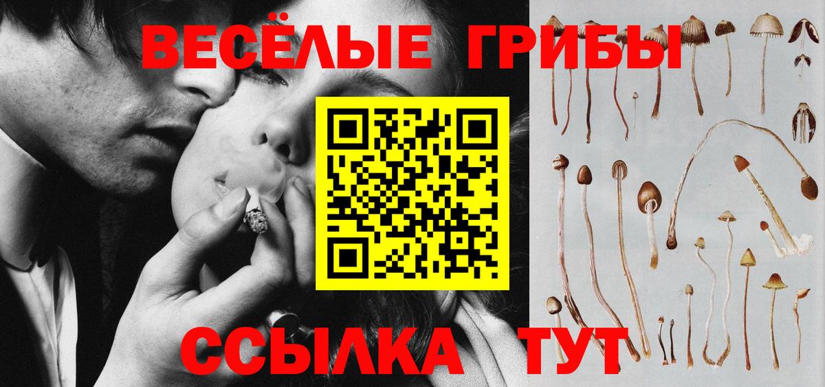 Галлюциногенные грибы GOLDEN TEACHER  Вход с VPN  Родники 