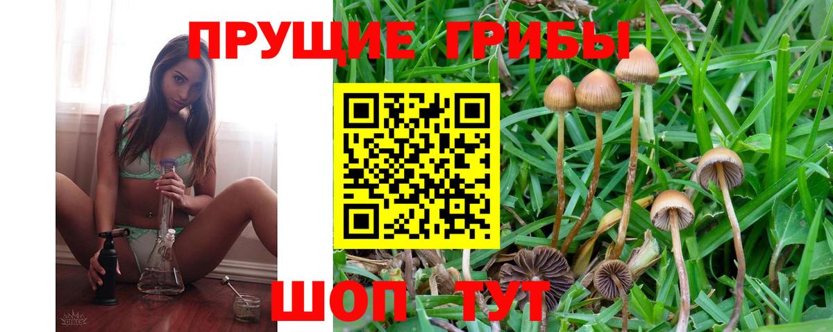 Галлюциногенные грибы мицелий Родники